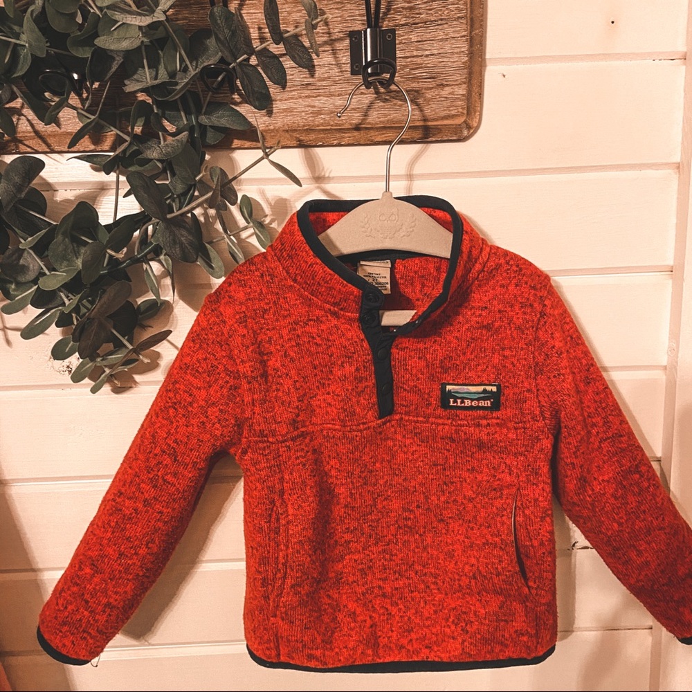 Toddler ll bean pullover